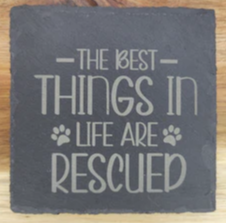 The Best Things in Life are Rescued